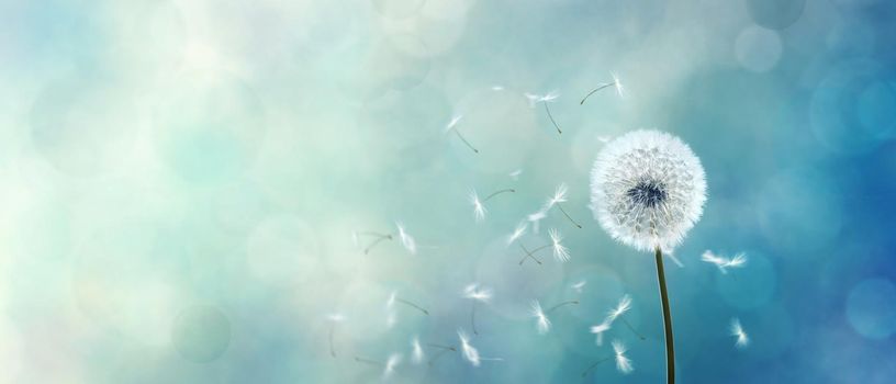 Beautiful dreamy spring nature background with dandelion