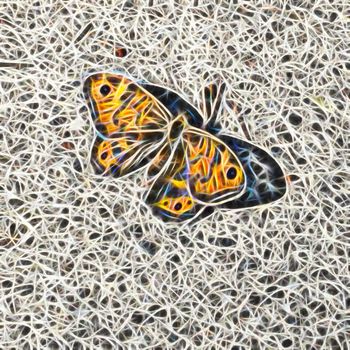 Fractal Art. Butterfly on a wall