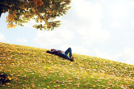 Beautiful autumn background with yellow and red leaves.