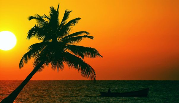 Palms on empty idyllic tropical sand beach.