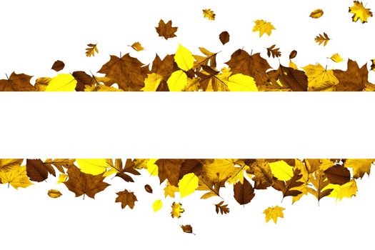 Beautiful autumn background with yellow and red leaves.