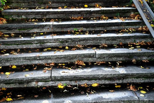 autumnal painted leaves on stairs in sun