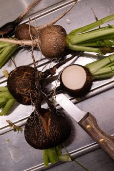 Preparing black radish for a salad in the kitchen