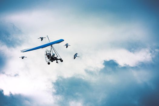 Microlight flying across a blue cloudy sky and surrounded by cranes