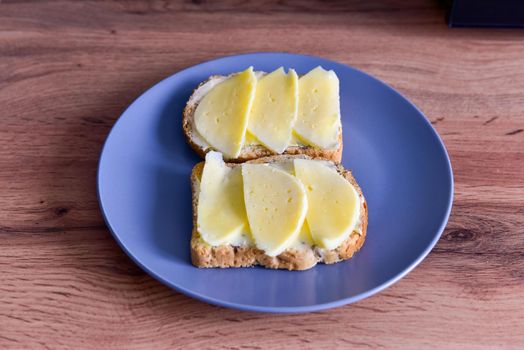 two sandwiches with cheese lie on a plate, close-up photo.