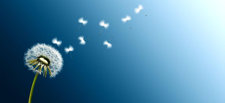 Beautiful dreamy spring nature background with dandelion