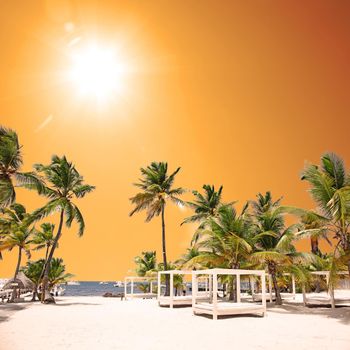 Palms on empty idyllic tropical sand beach.