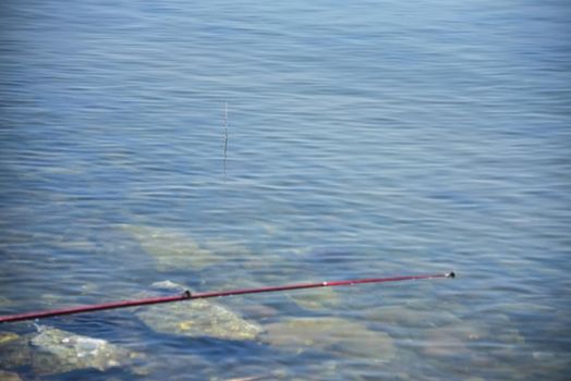 fishing float sticks out of the water. part of the fishing rod is visible.
