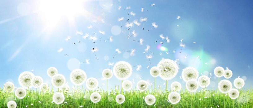 Beautiful dreamy spring nature background with dandelion