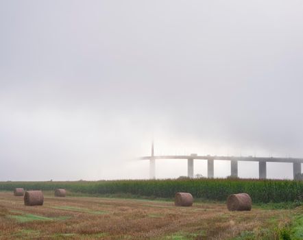 meadow landscape and pont de brotonne over river seine in french normandy during misty sunrise