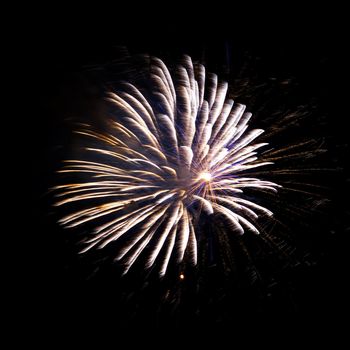 Colorful celebration fireworks isolated on a black sky background.