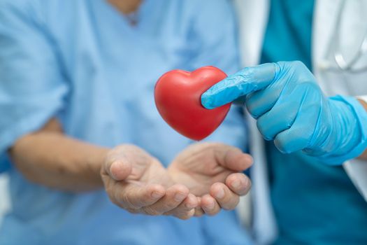 Doctor give red heart to Asian senior or elderly old lady woman patient, healthy strong medical concept