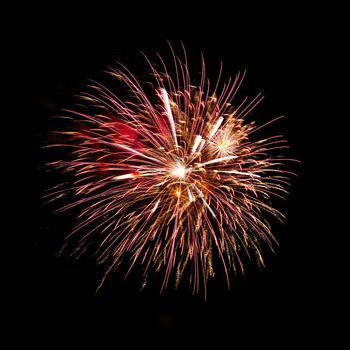 Colorful celebration fireworks isolated on a black sky background.