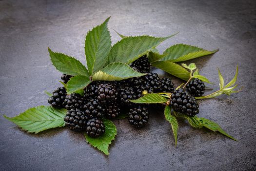 Fresh blackberries with green leaves over dark background