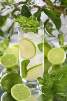 Refreshing organic Mojito cocktail made from fresh lime, white rum combined with fresh juice and mint. This is the perfect cocktail for summer days.