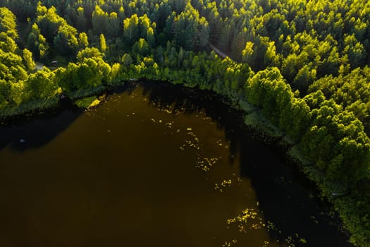 Top view of the lake Bolta in the forest in the Braslav lakes National Park, the most beautiful places in Belarus.An island in the lake.Belarus