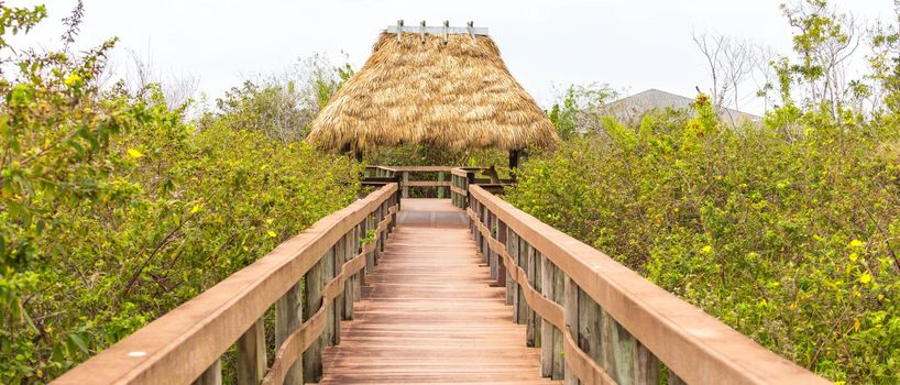 Wooden path on swamp in Everglades, Florida, USA