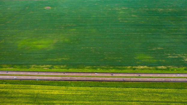 Top view of the sown green in Belarus.Agriculture in Belarus.Texture.