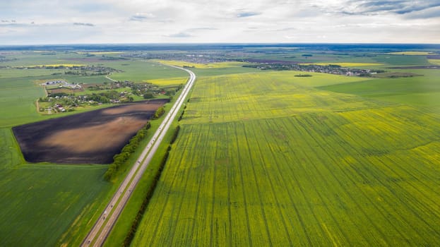 Top view of the sown green in Belarus.Agriculture in Belarus.Texture.