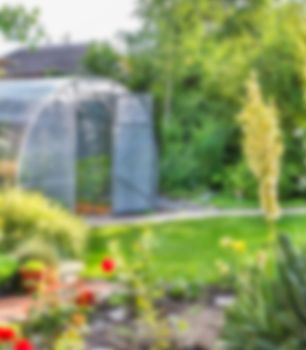 Greenhouse in back garden with open door