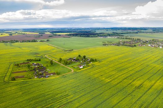 top view of a sown green field and a small village in Belarus. Agricultural fields in the village.