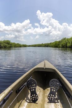 Kayaking in Everglades national park, USA