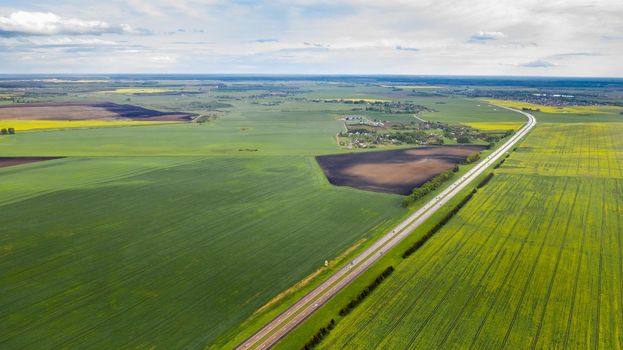 Top view of the sown green in Belarus.Agriculture in Belarus.Texture.