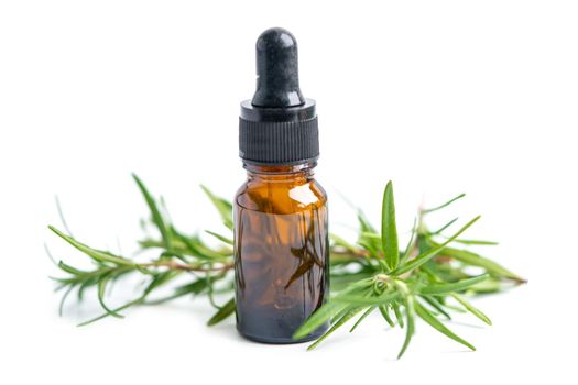 Rosemary aromatic essential oil fresh bunch herb with aromatherapy herbal bottle.