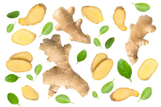 Ginger rhizome root with fresh slice and leaf isolated on white background, Top view, Flat lay, herb vegetable food in Asia.