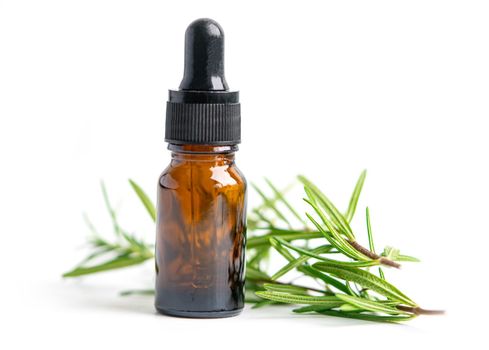 Rosemary aromatic essential oil fresh bunch herb with aromatherapy herbal bottle.