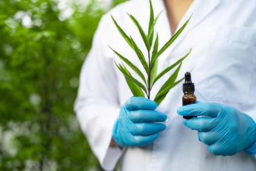 Doctors scientist holding bottle of herb oil plant product, droplet dosing, biology and ecology alternative nature medicine.