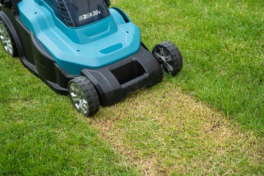 Lawn mover machine cut green grass, Hobby planting home garden.