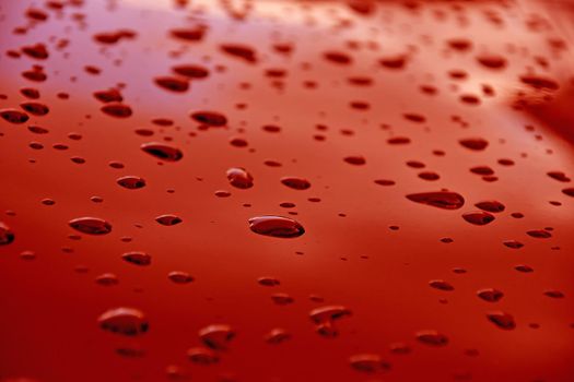 rain drops on a car engine hood