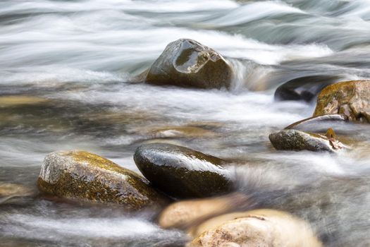 Mountain river in forest