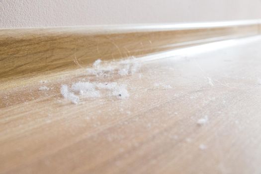 a lot of dust on a wooden floor