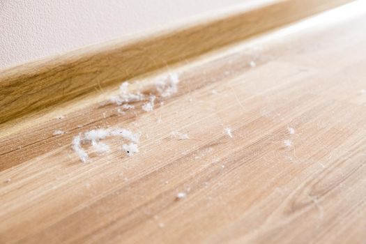 a lot of dust on a wooden floor