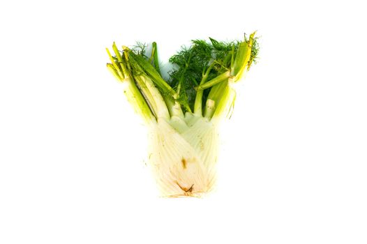 fennel vegetable on white isolated background