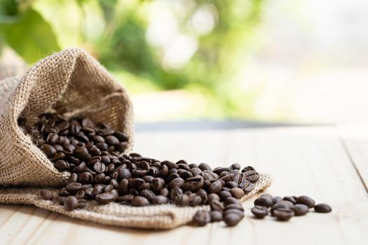 Coffee beans pour out of the sack on the wooden floor in morning.