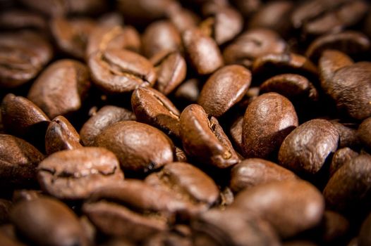 Brown coffee beans, closeup of macro coffee beans for background and texture
