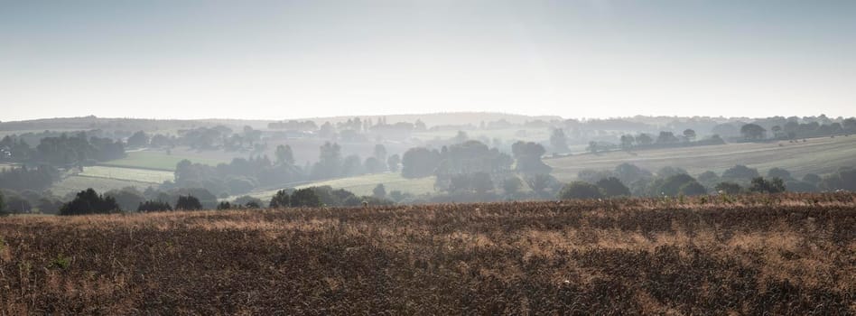 rural countryside landscape of central brittany near Parc naturel regional d'Armorique on early misty summer morning in france