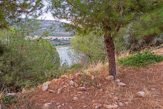 kusadasi,aydin,turkey- july 24,2021.seascape, green nature and sportive trekking paths in kusadasi in early morning time and summer season.