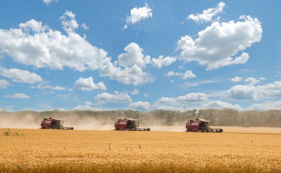 Combine harvester harvesting wheat on sunny summer day