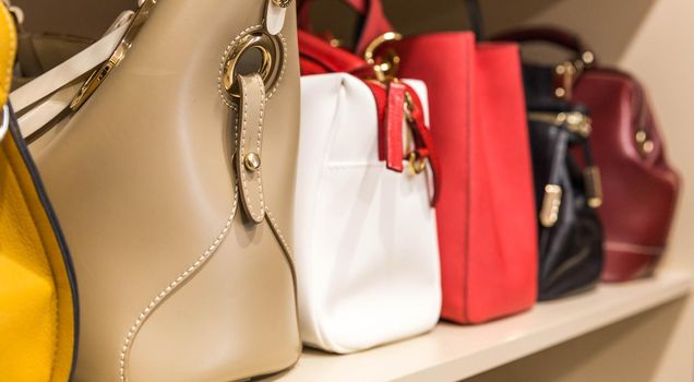 collection of handbags in woman big closet