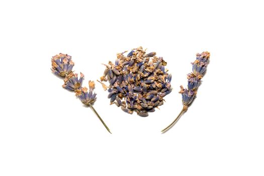 lavender flowers, seeds and twigs on a white background. High quality photo