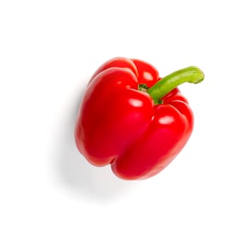 Red pepper isolated on white background. Bulgarian red paprika isolated with shadow.