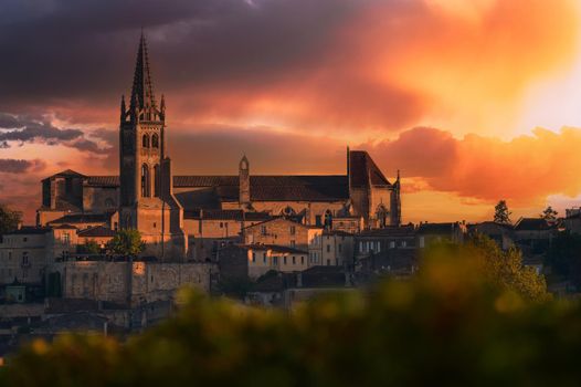 Saint-Emilion, Vineyard landscape, Vineyard south west of France, Europe