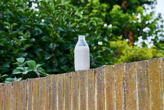 A photo of a random bottle of milk found on top of a brick wall.