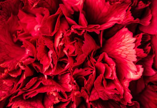 Retro art, vintage card and botanical concept - Abstract floral background, red carnation flower petals. Macro flowers backdrop for holiday brand design