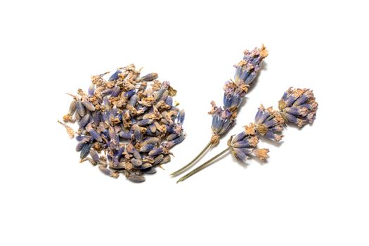 lavender flowers, seeds and twigs on a white background. High quality photo