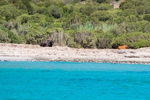 Beautiful view of the southern Sardinian sea, Teulada, Italy.